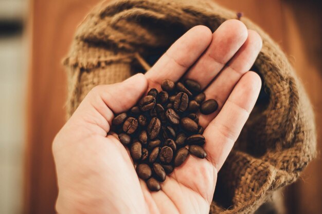 Mão cortada segurando grãos de café