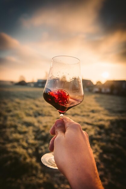 Foto mão cortada segurando um copo de vinho contra a terra