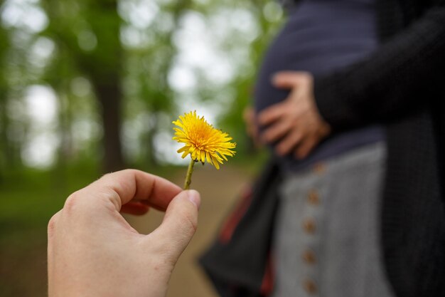 Foto mão cortada segurando uma flor amarela contra uma mulher grávida