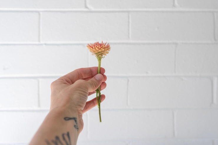 Foto mão cortada segurando uma flor contra a parede