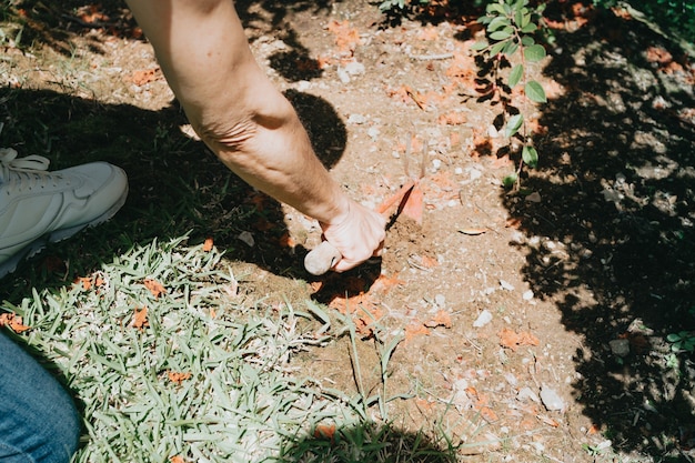 Mão, cultivando sementes de vegetais na semeadura do solo na metáfora do jardim, jardinagem, conceito de agricultura.