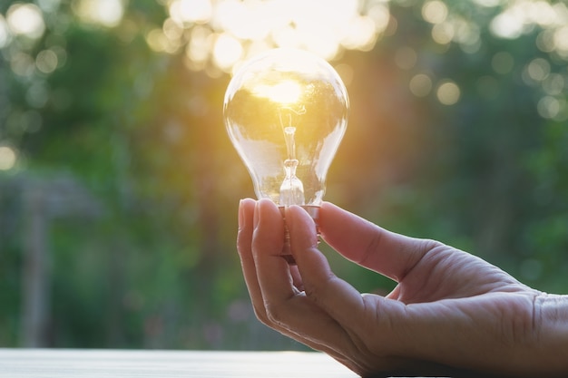 Mão da pessoa que guarda a ampola para a ideia e a faculdade criadora, sucesso, conceito da energia solar.