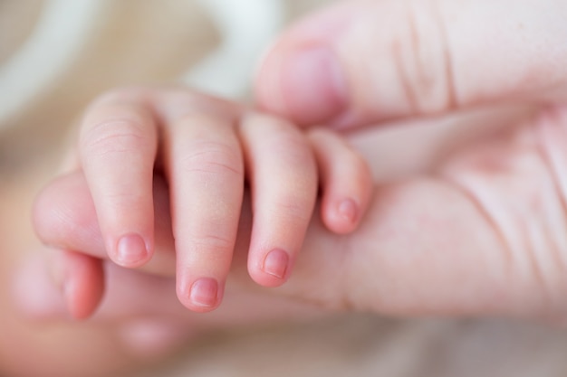 Mão de bebê segurando o dedo de mães