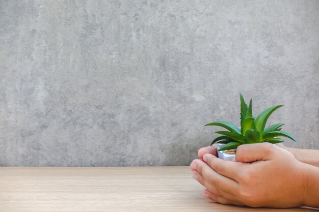 Foto mão de bebê segurando um pote de árvore em uma mesa de madeira e colocar o texto