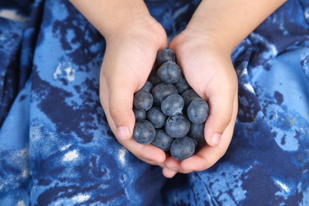 Mão de criança segurando uma fruta azul fresca