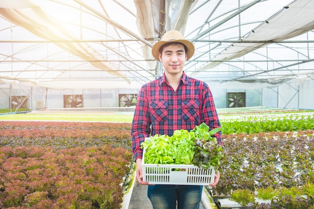 Mão de homem feliz agricultor asiático jardineiro segurar a cesta de vegetais orgânicos verdes frescos na fazenda orgânica hidropônica de estufa