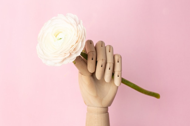 Mão de madeira com uma flor branca em uma rosa