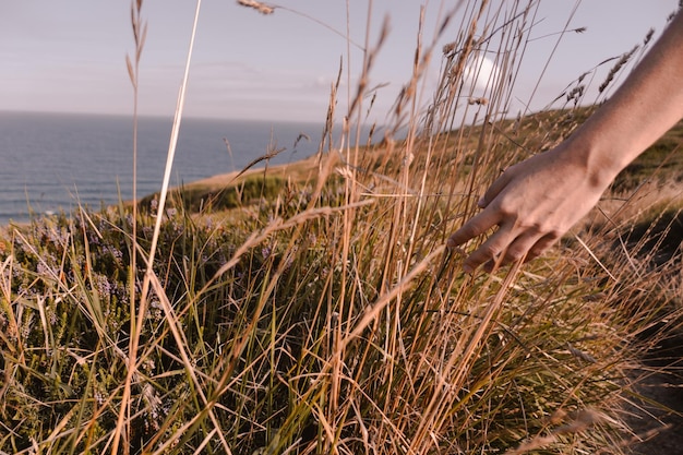 Mão de menina caucasiana na costa do país basco à procura de tranquilidade andando entre os prados acariciando as folhas