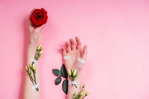 Mão de moda mulheres cosméticos naturais, folhas de flores de camomila bonitas de rosa vermelha e mão de espinhos cuidados. Estúdio de menina com braço de dia dos namorados tiro fundo rosa