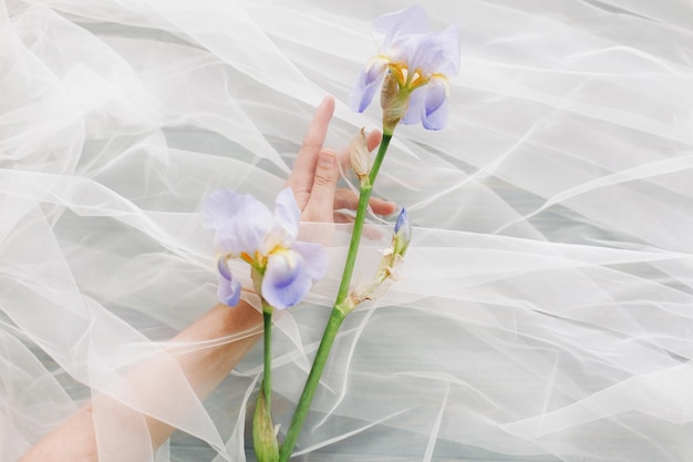 Mão de mulher atrás do véu segurando suavemente flor de íris azul em fundo escuro imagem estética suave mão sob tule tocando flor fragrância e conceito de tratamento