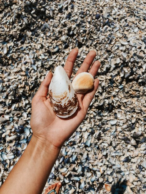 mão de mulher segurando pedras. conchas multicoloridas do mar Negro da Romênia. fundo de verão
