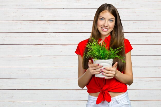 Mão de mulher segurando uma pequena planta de árvore verde