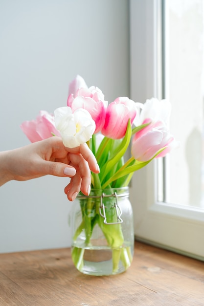 Mão de mulher tocando botões de tulipas em um vaso no peitoril da janela