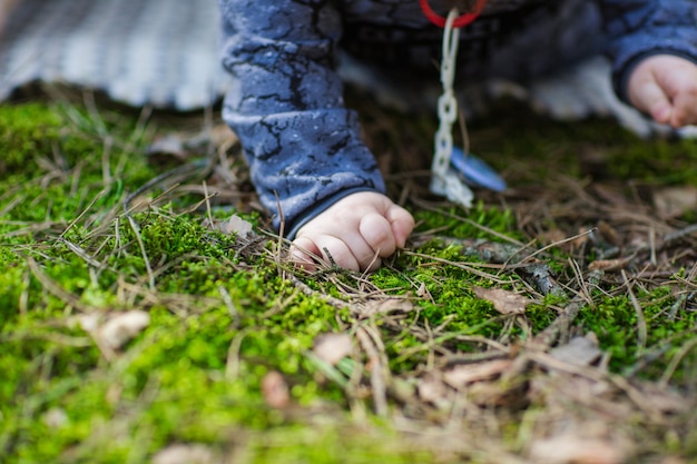 mão de uma criança de um ano de idade na floresta em musgo