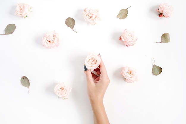 Mão de uma menina segurando um botão de rosa e um padrão de flores feito de rosas bege, folha de eucalipto em branco