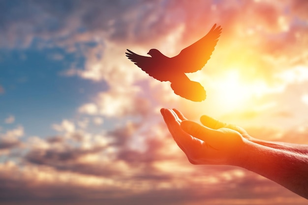 Mão de uma mulher rezando e pássaro apreciando no fundo do sol
