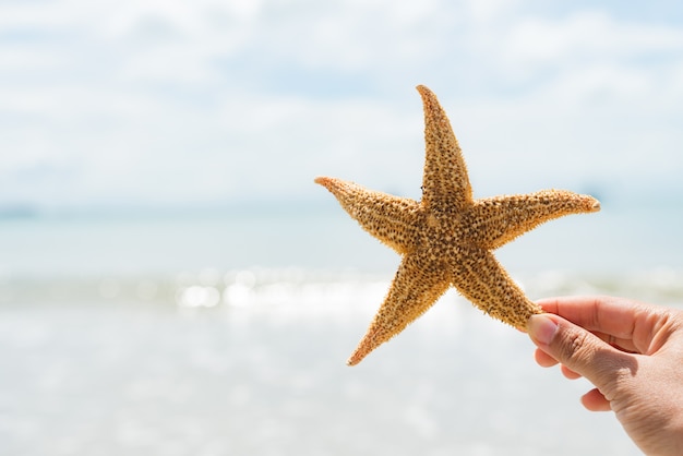 Mão de uma mulher segurando a estrela do mar sobre o mar para o conceito de verão