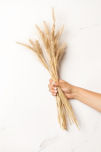 Mão de uma mulher segurando talos de trigo em um balcão de cozinha de mármore branco com espaço para cópia