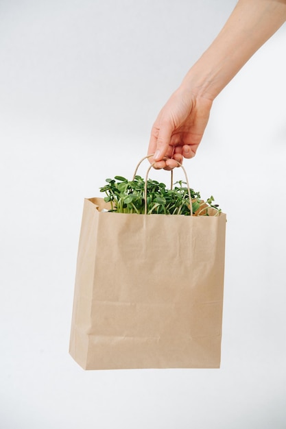 Mão de uma mulher segurando um saco de papel com canteiro saindo dele. sobre fundo branco. produto compostável ecologicamente correto.