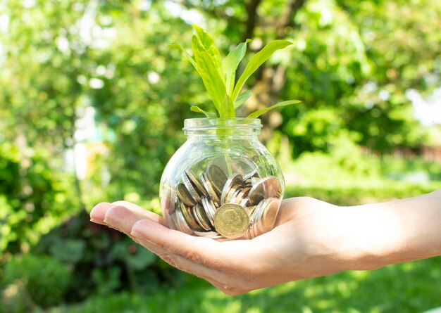 Mão de uma mulher segurando uma planta que cresce a partir de moedas em uma jarra de vidro sobre um fundo natural verde turva com o efeito da luz solar.