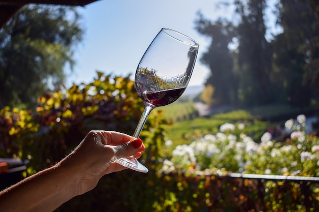 Mão de uma mulher segurando uma taça de vinho ao sol