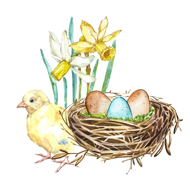 Mão desenhada aquarela arte ninho de pássaro com ovos e flores da primavera, galo, design de páscoa
