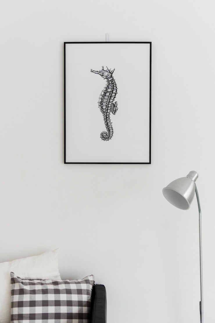 Foto mão, desenho, seahorse, foto, pendurar, parede