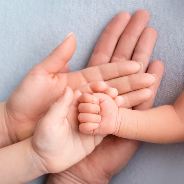 Mão do bebê recém-nascido. Família, mãe, pai e uma criança mais velha estão segurando o punho de um recém-nascido. Foto de alta qualidade