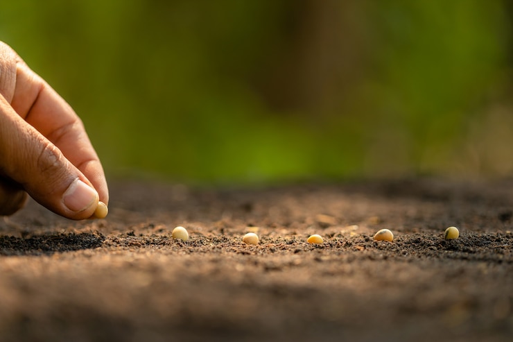 Foto mão do fazendeiro plantando sementes marrons no solo. conceito de crescimento e meio ambiente