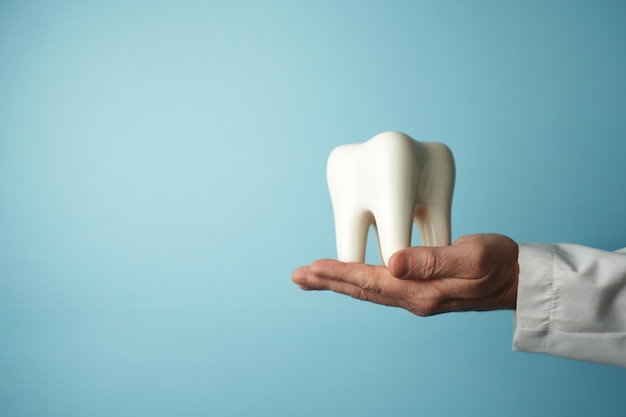 Foto mão do médico segurando modelo de dente branco em um fundo azul