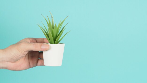 Mão está segurando cactos artificiais ou árvore de plástico em fundo verde menta ou azul tiffany.