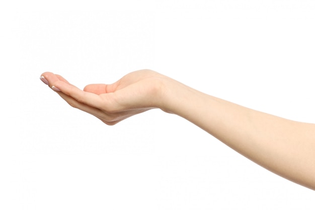 Mão esticada da mulher com a palma da mão aberta