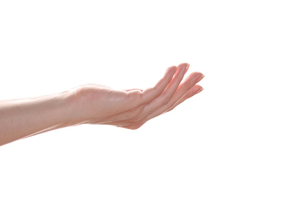 Mão europeia feminina com palma para cima isolada no fundo branco