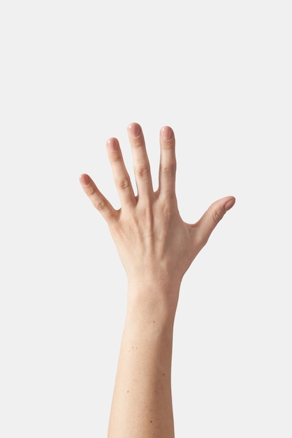 Mão externa contando nos dedos cinco