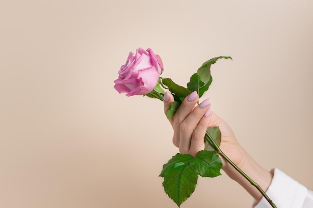 Foto mão feminina com bela manicure segurando flor rosa