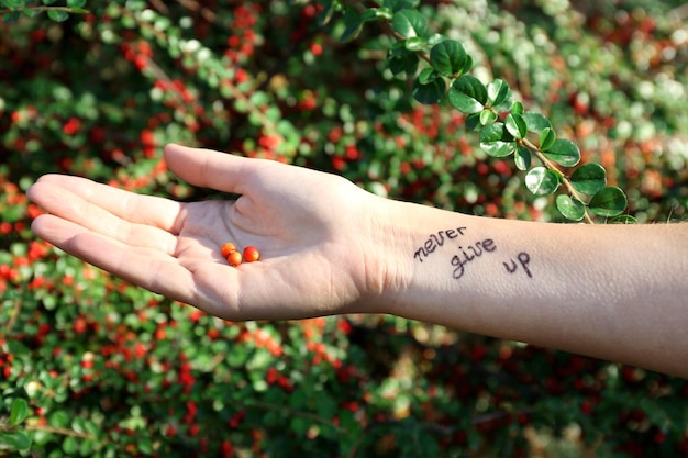 Foto mão feminina com tatuagem em fundo de arbusto de rowan