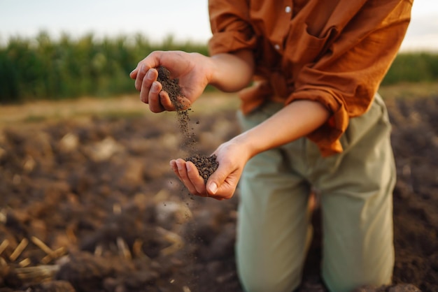 Mão feminina de agricultor especialista recolhe solo e verifica a saúde do solo antes do crescimento de uma semente de legume