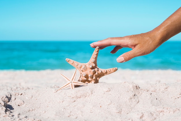 Mão feminina está tocando estrela do mar em uma praia arenosa. natureza tropical.