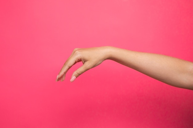 Mão feminina vazia fingindo segurar algo, isolado no fundo rosa