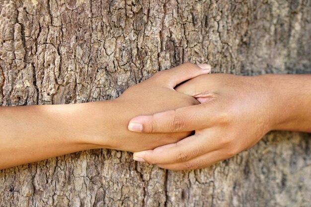 Mão humana do conceito de amor da terra tocando a árvore com amor