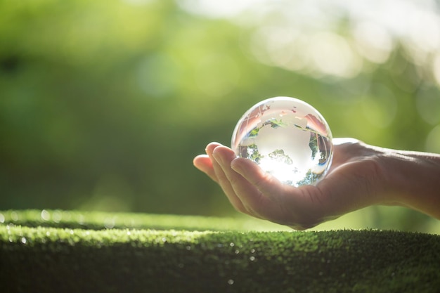 Mão humana segurando o vidro do planeta globo Na floresta verde com luzes da natureza bokeh conceito de dia mundial do meio ambiente para conservação do meio ambiente proteger ecologia terra e vida ecológica ambiental