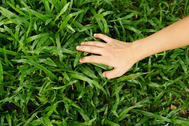 mão humana tocando a natureza