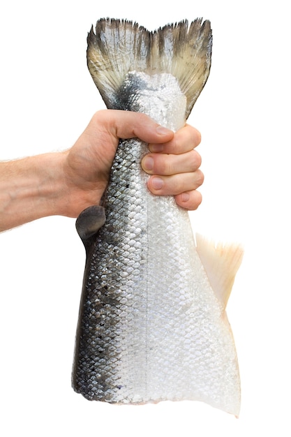 Mão masculina com peixe salmão contendo ômega-3