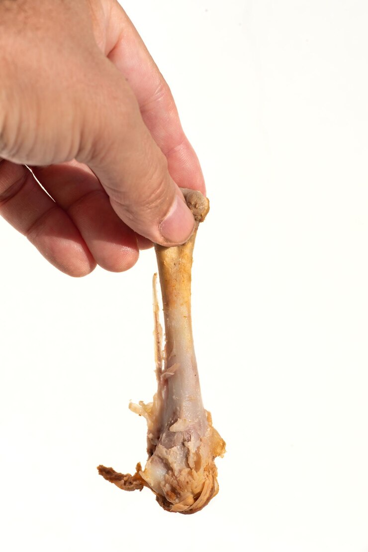 Foto mão masculina segurando um osso de frango entre os dedos