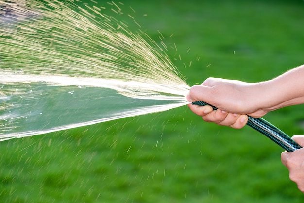 Mão mulher, segurando, borracha, mangueira água, fazendo, pulverizador água, com, luz solar