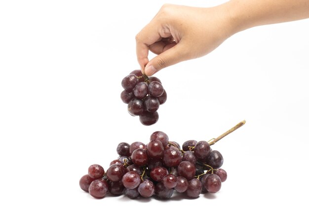 Mão pegando um monte de uvas vermelhas orgânicas frescas deliciosas frutas isoladas em fundo branco