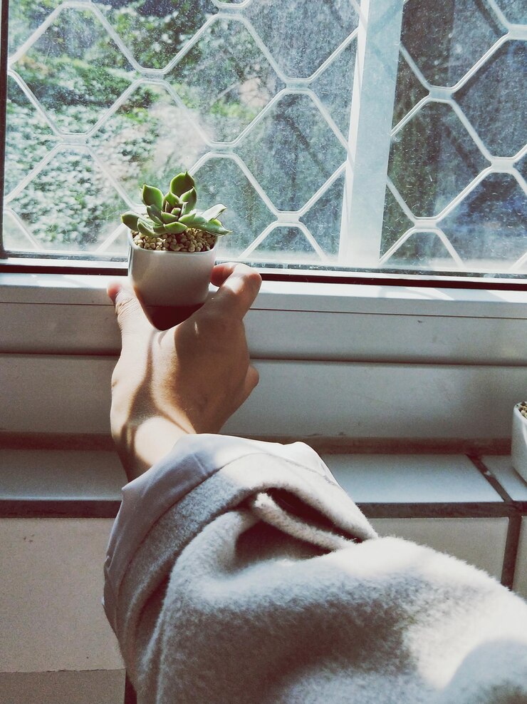 Foto mão recortada colocando planta de casa no peitoral da janela em casa