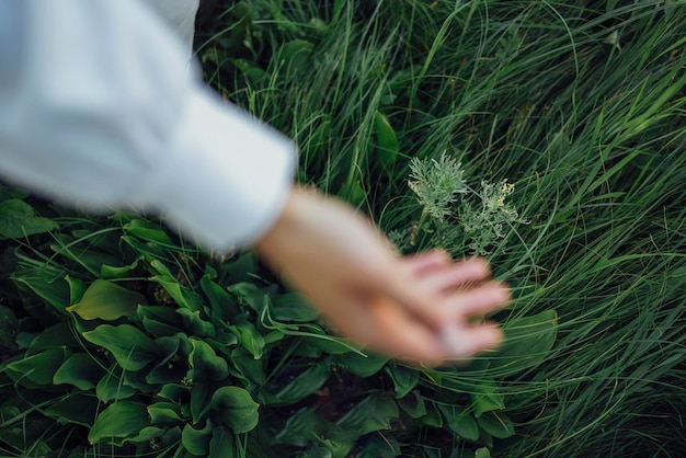 Foto mão recortada de homem segurando planta