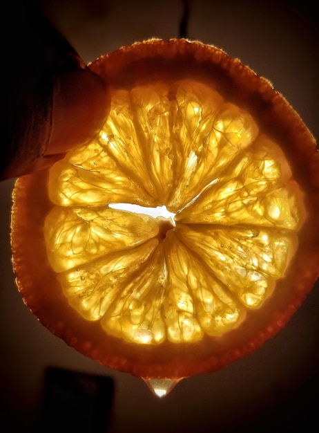 Foto mão recortada segurando uma fatia de laranja