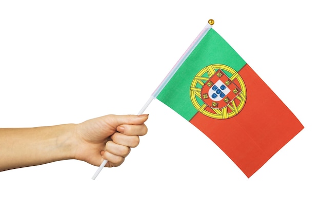 Mão segurando a bandeira de Portugal isolada no modelo de fundo branco para designers